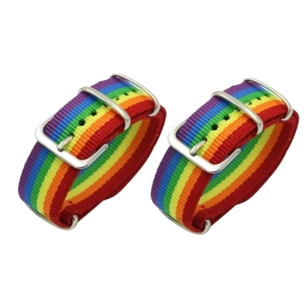 2 Rainbow Strap Buckle Bracelets